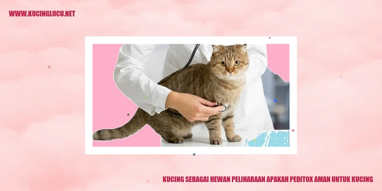 Kucing sebagai Hewan Peliharaan