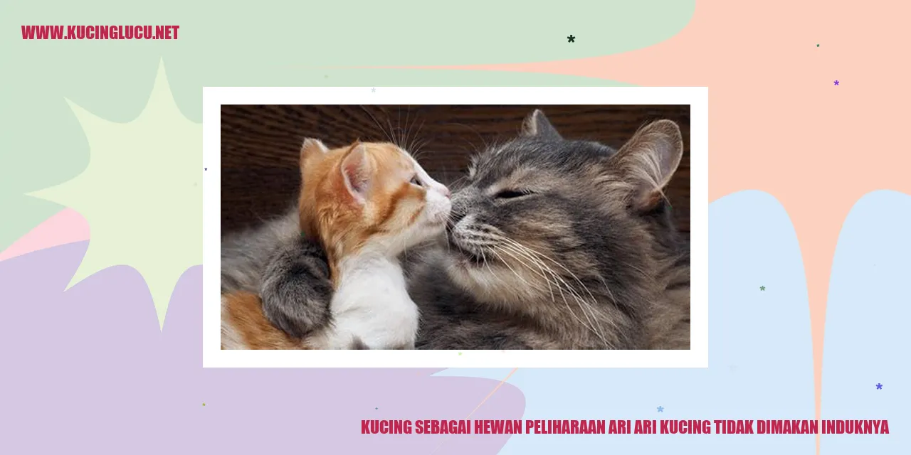 Gambar kucing sebagai hewan kesayangan