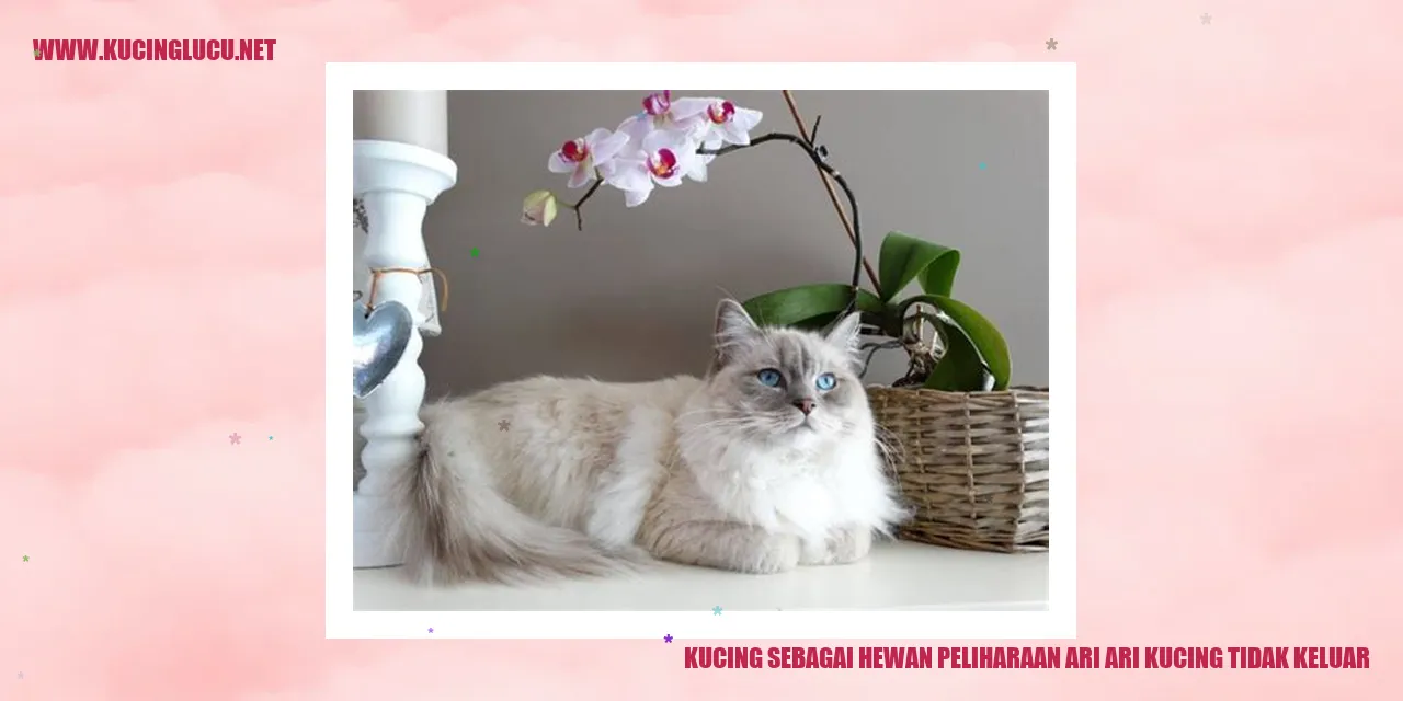Kucing sebagai Hewan Peliharaan