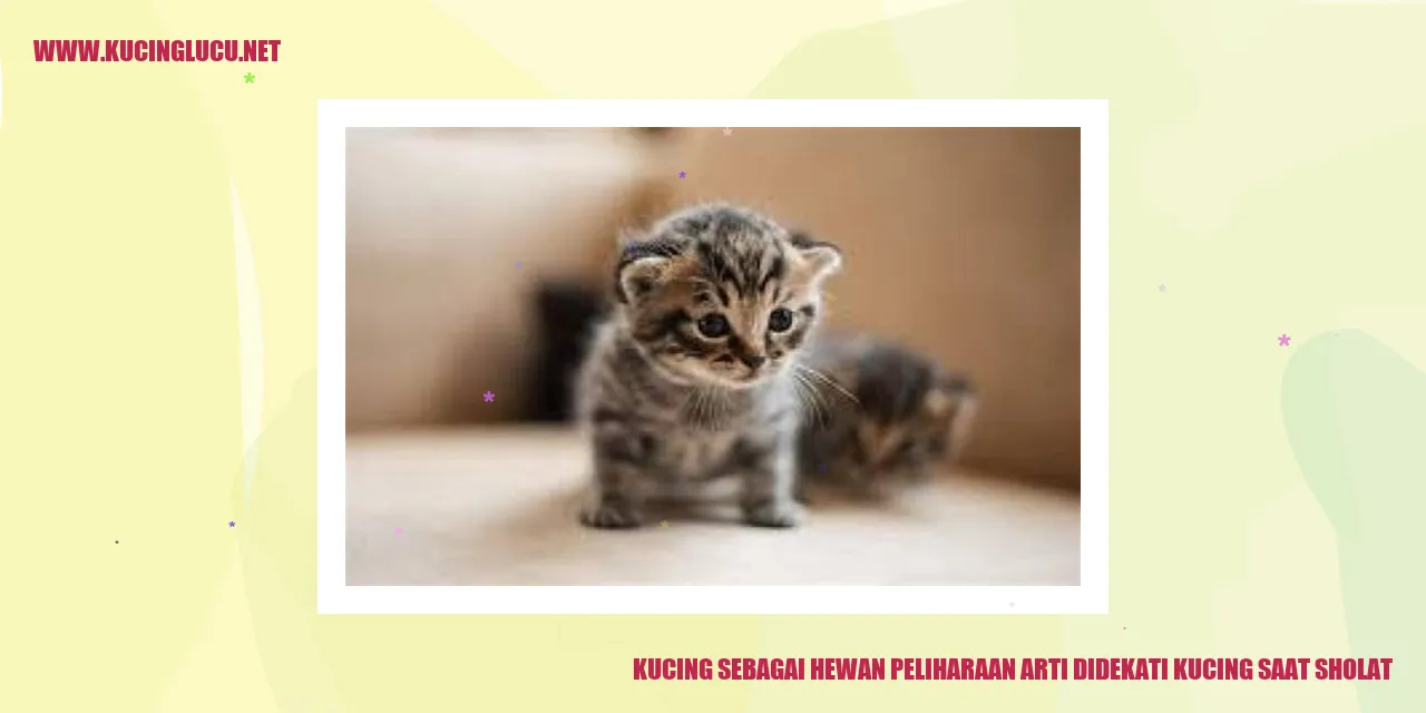 Kucing