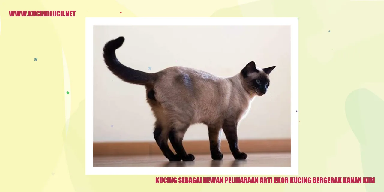 Ekspresi Kucing Melalui Gerakan Ekor