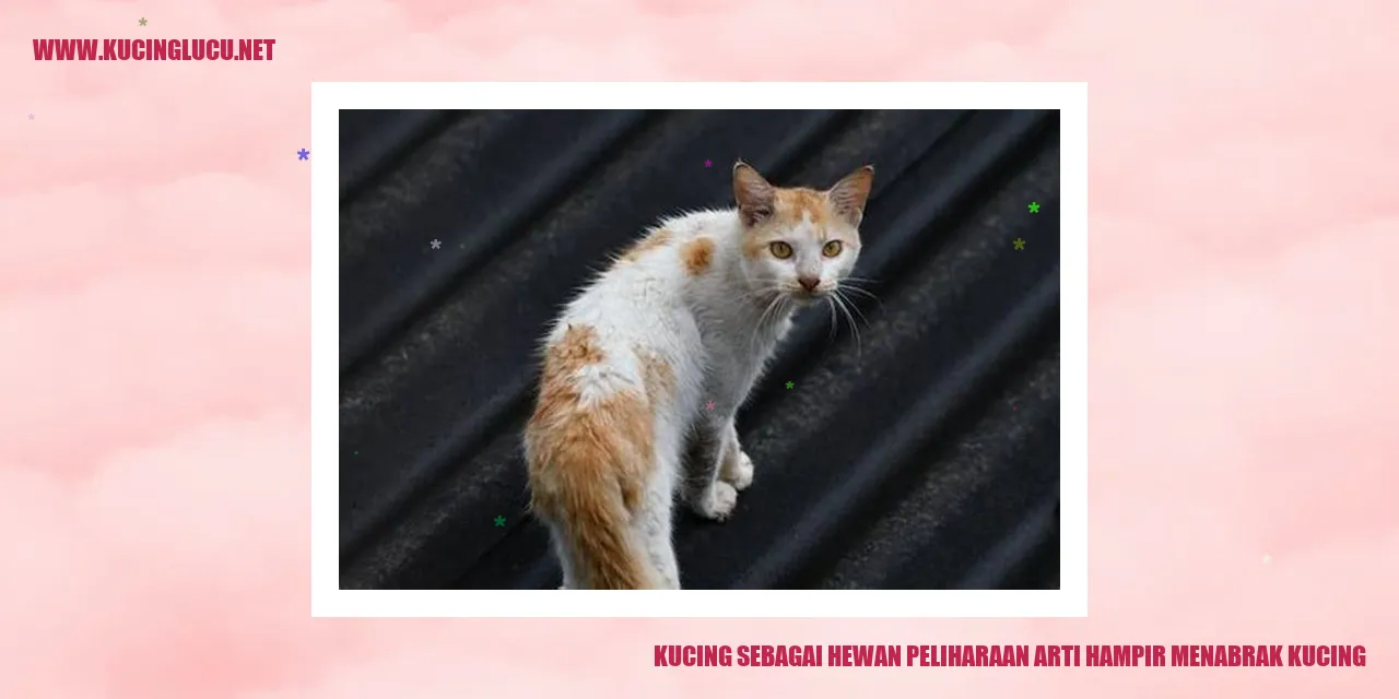 Gambar Kucing sebagai Hewan Peliharaan