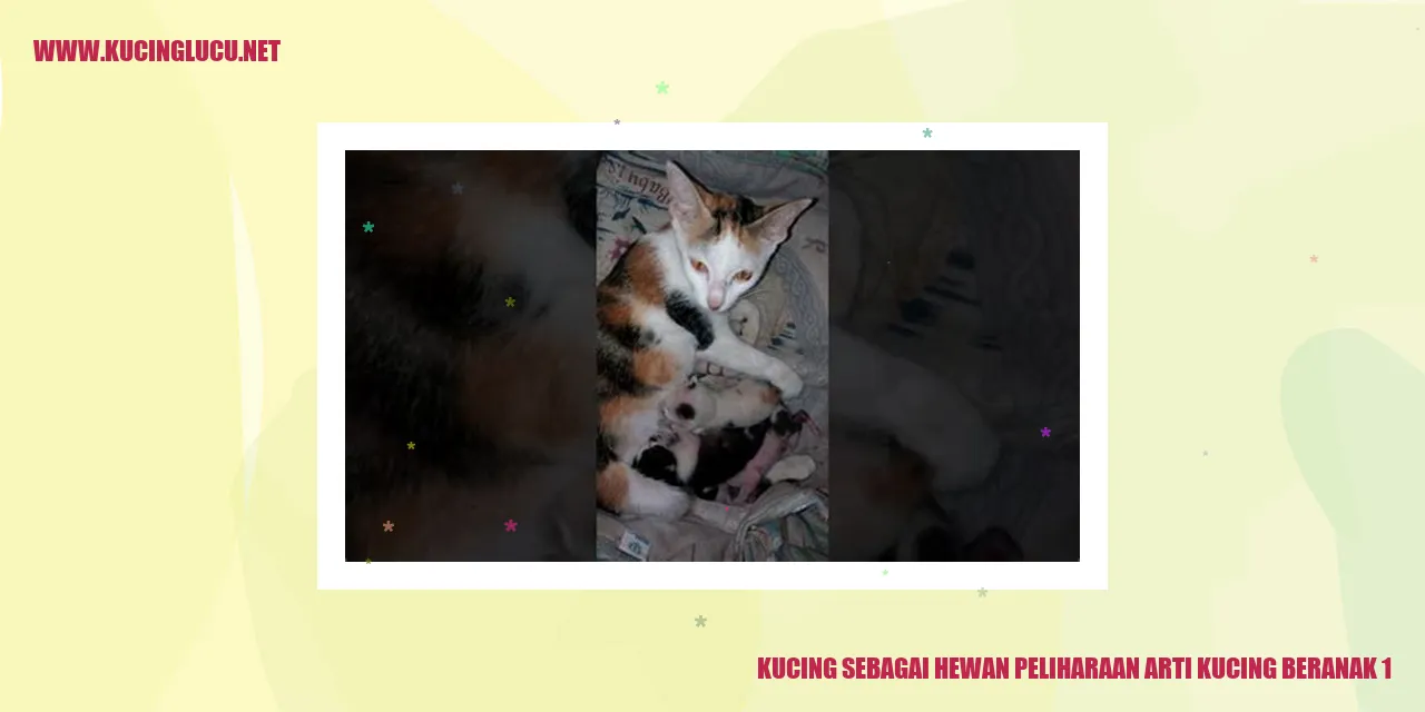 Gambar Kucing Sedang Melahirkan