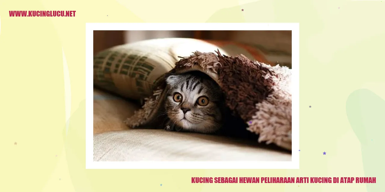 Kucing sedang duduk di atap rumah