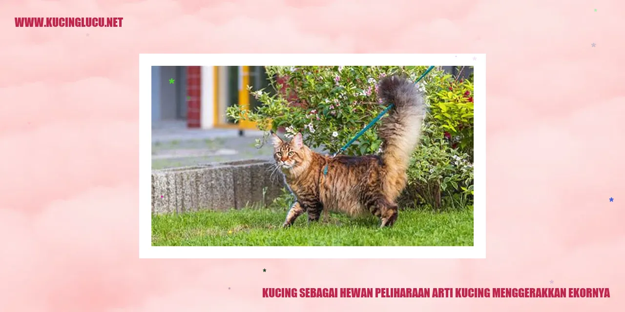 kucing menggerakkan ekornya