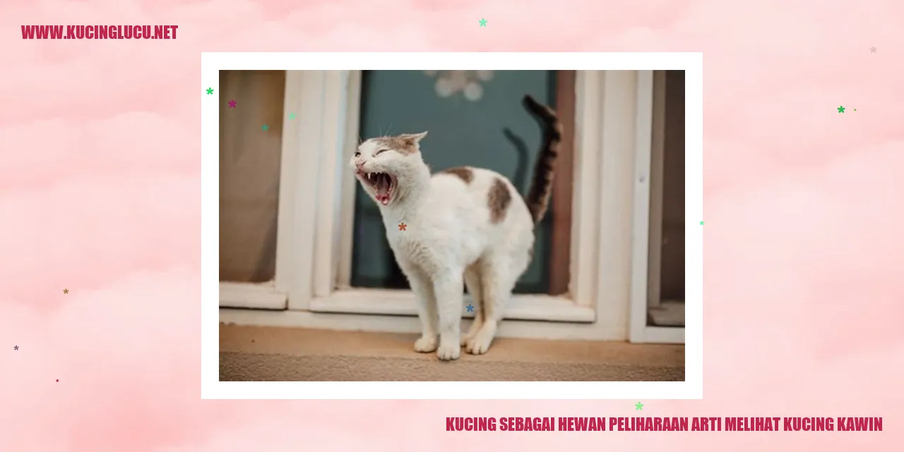 ilustrasi kucing bertelur