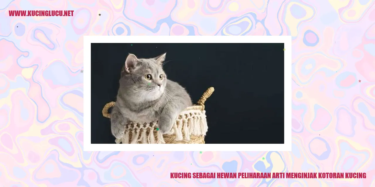 gambar kucing
