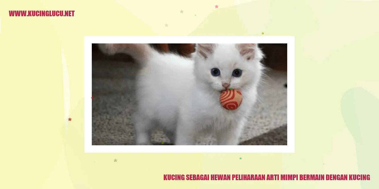 Ilustrasi kucing sedang bermain