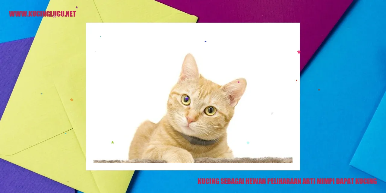 Gambar Kucing Menggemaskan