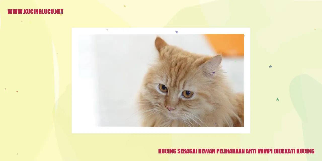 Ilustrasi tentang kucing