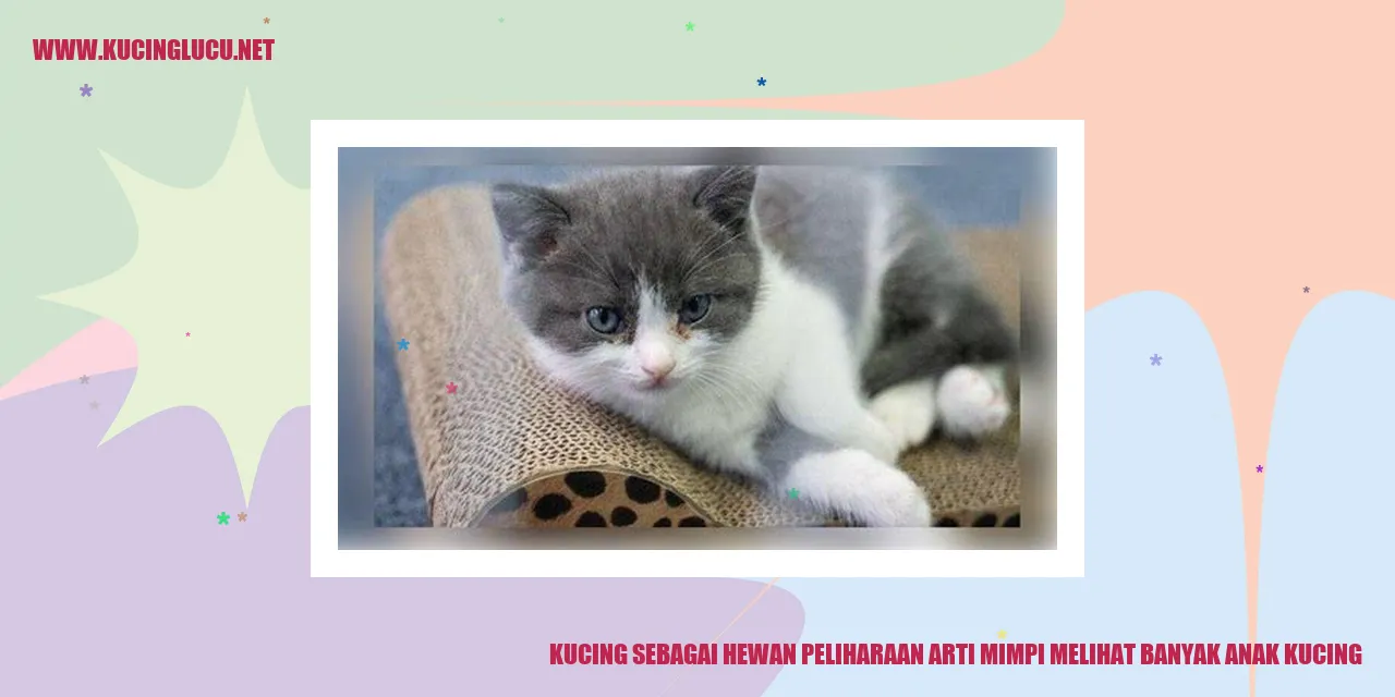 Gambar Anak Kucing