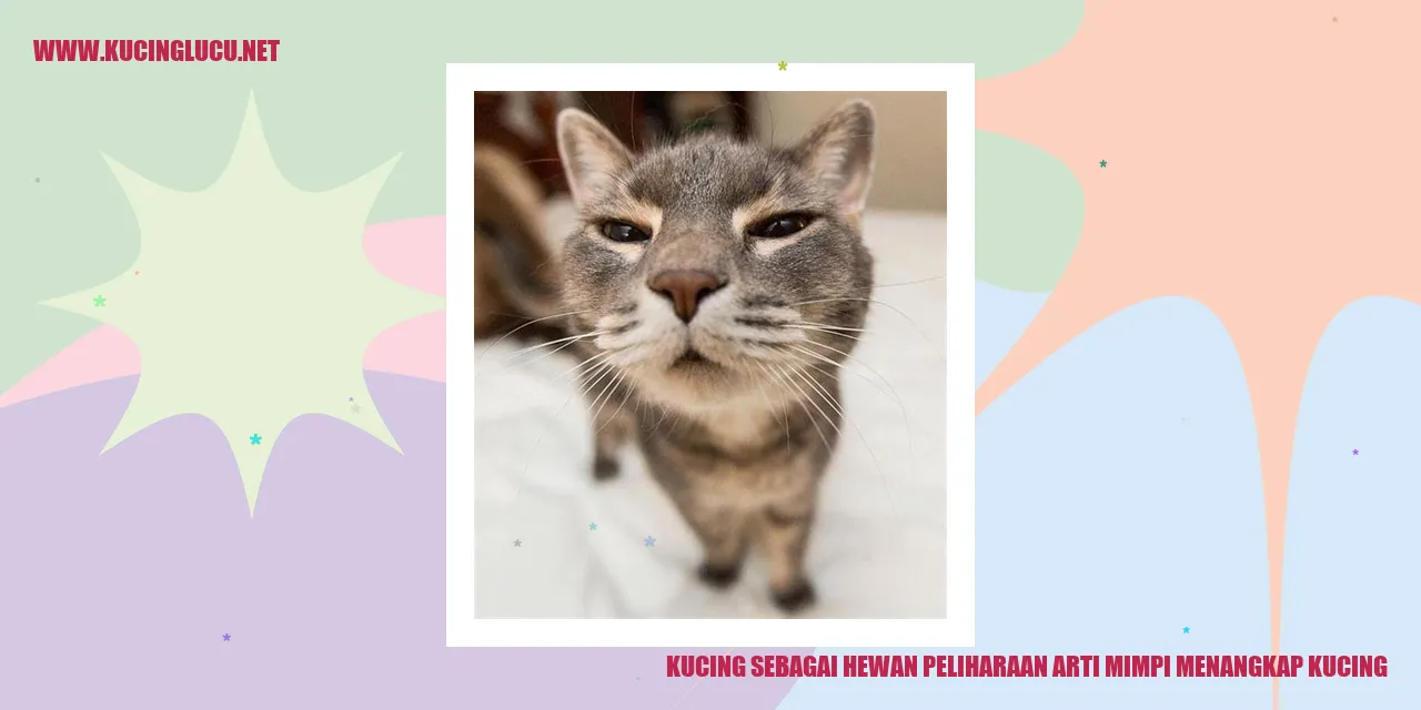 Kucing sebagai Hewan Peliharaan