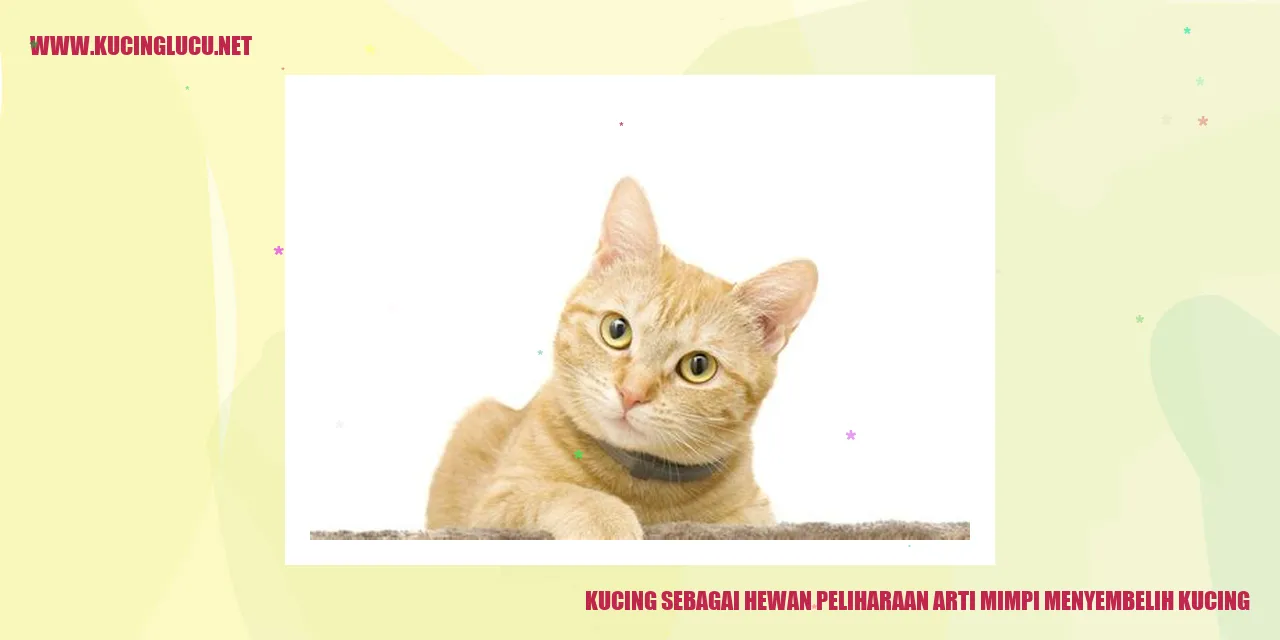 Kucing Menghiasi Hidup Anda