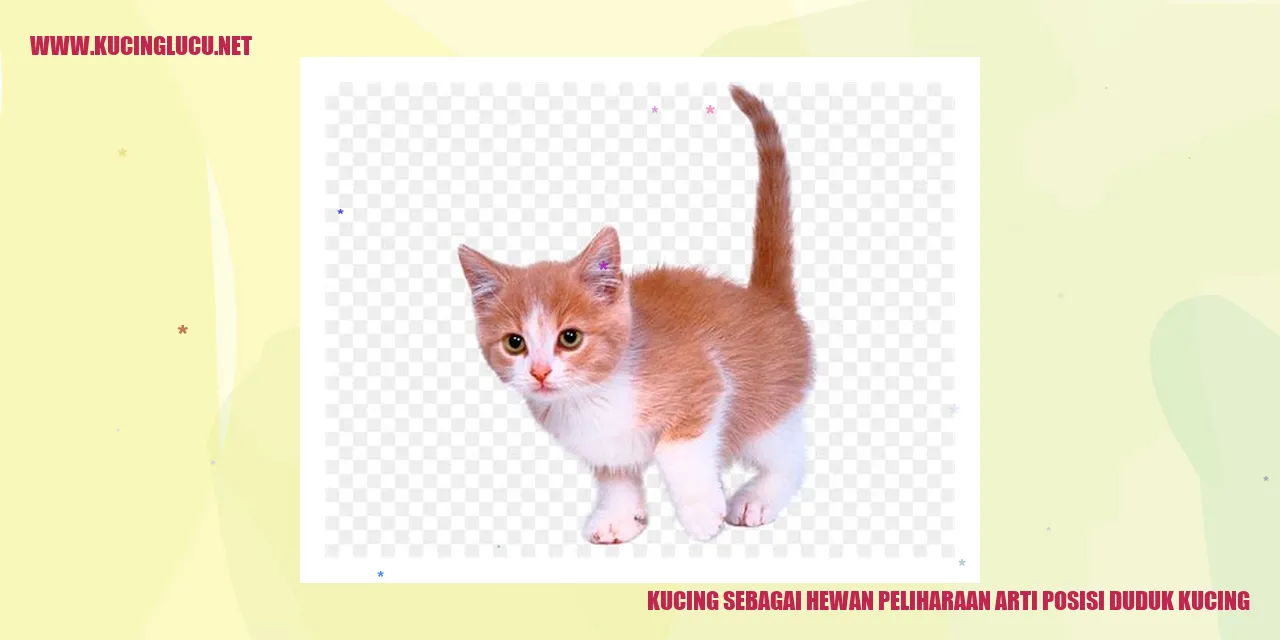 Gambar kucing duduk