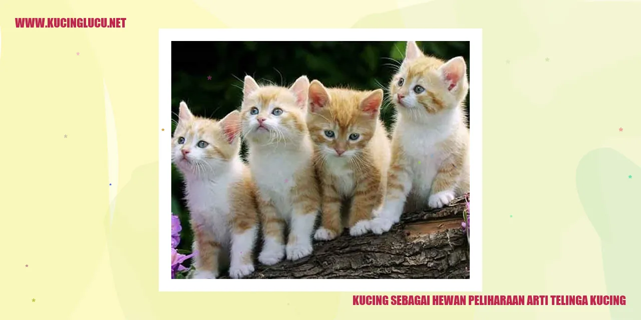 Kucing dengan telinga tegak