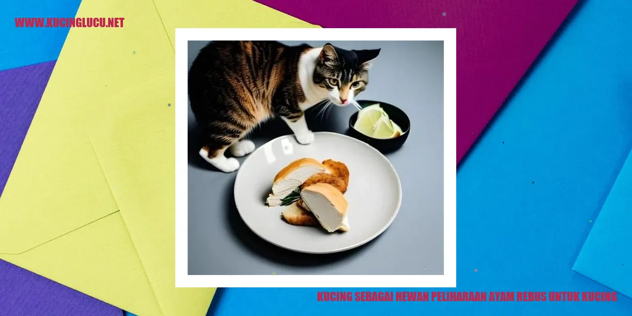 gambar kucing dan ayam rebus