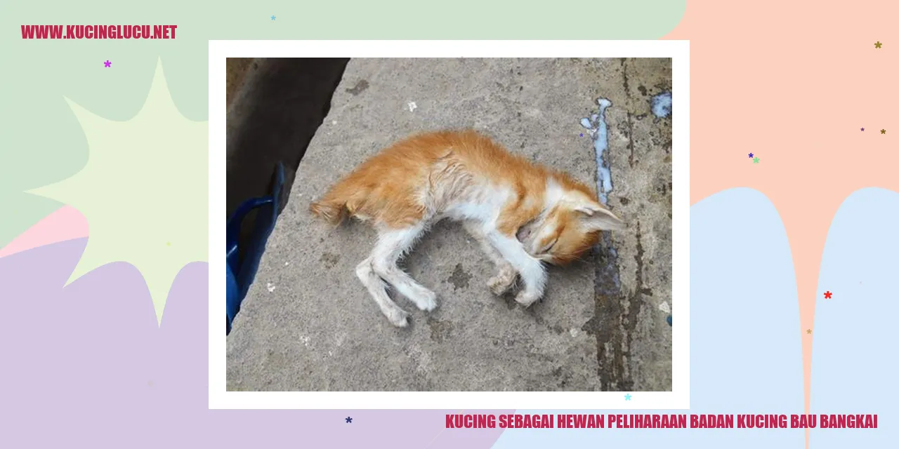 Kucing yang menggonggong