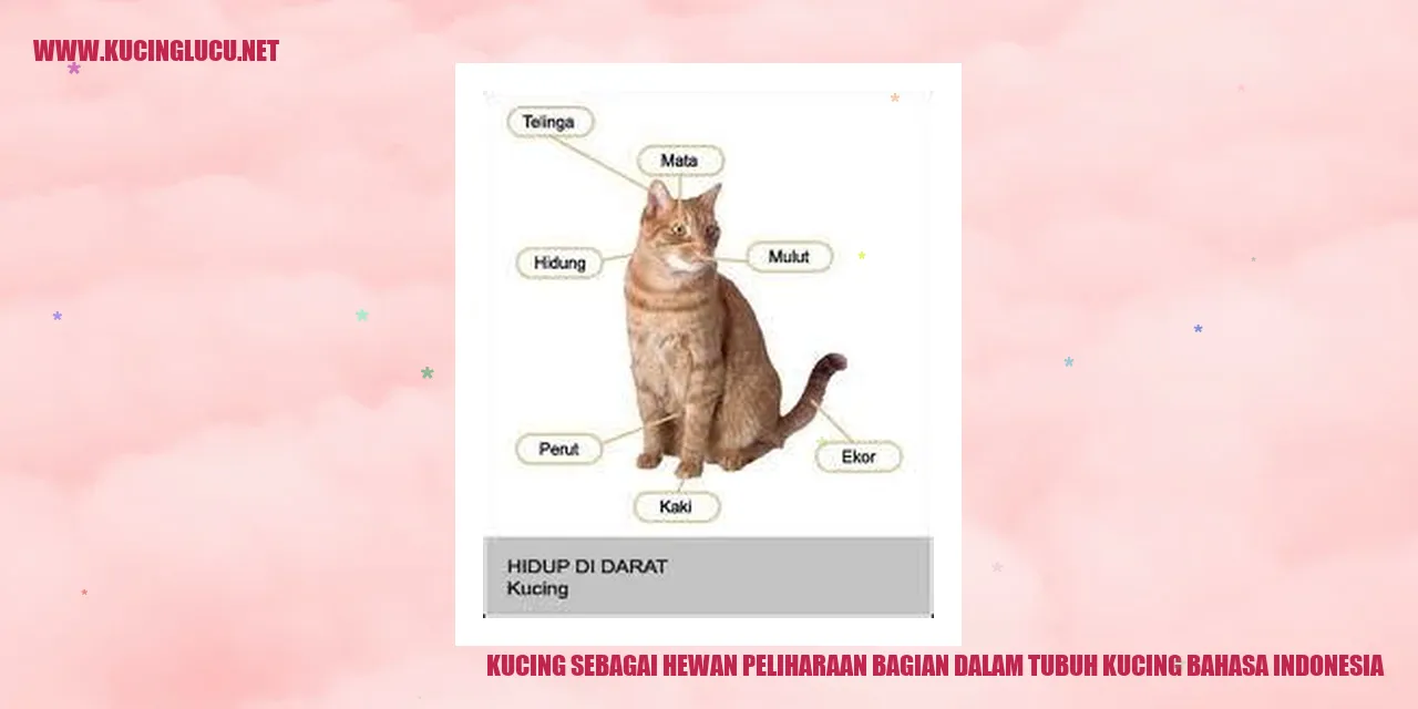 Ilustrasi kucing