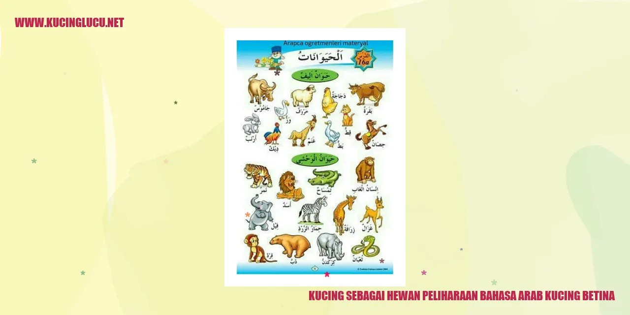 Kucing Betina