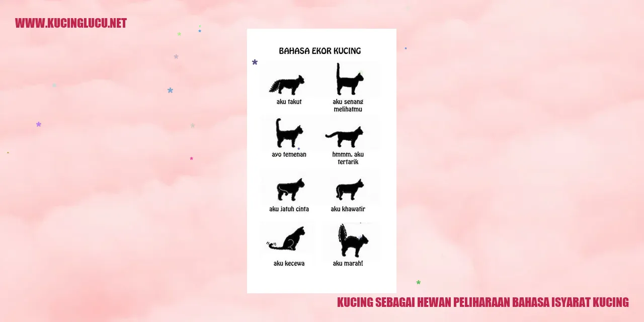 Kucing sebagai Hewan Ternak yang Menggemaskan