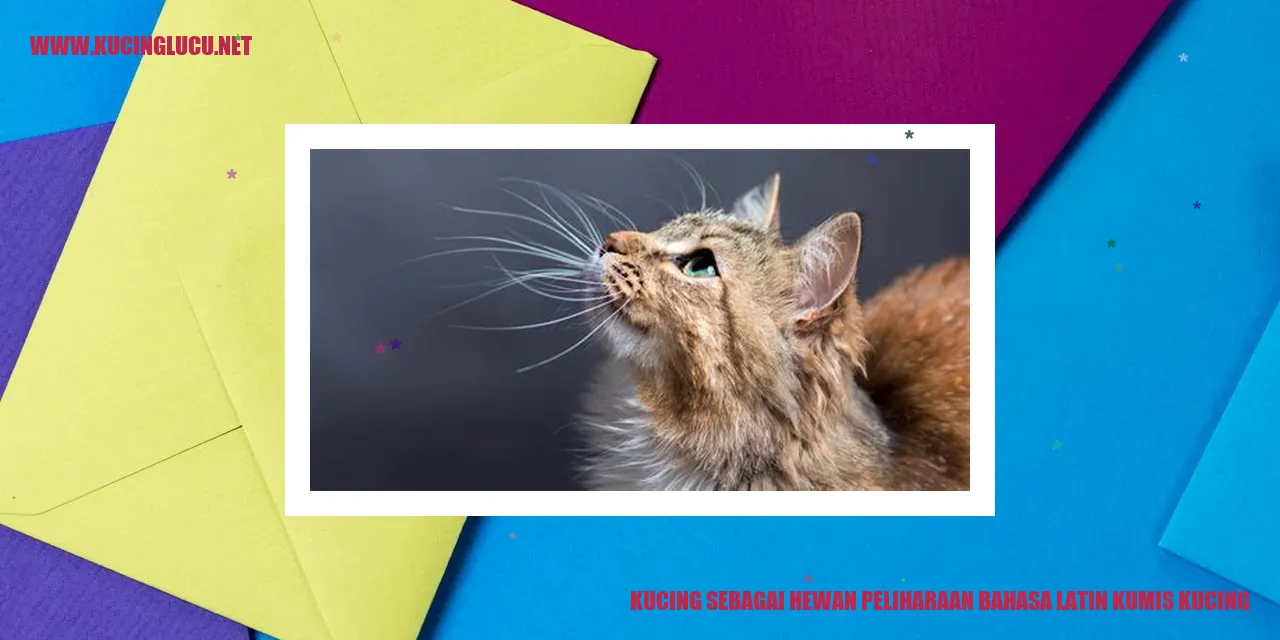 Kucing dengan kumis