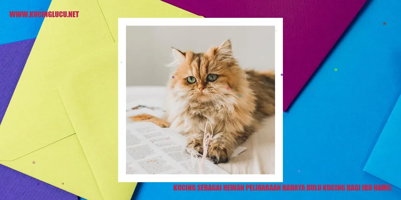 Kucing sebagai Hewan Peliharaan bahaya bulu kucing bagi ibu hamil