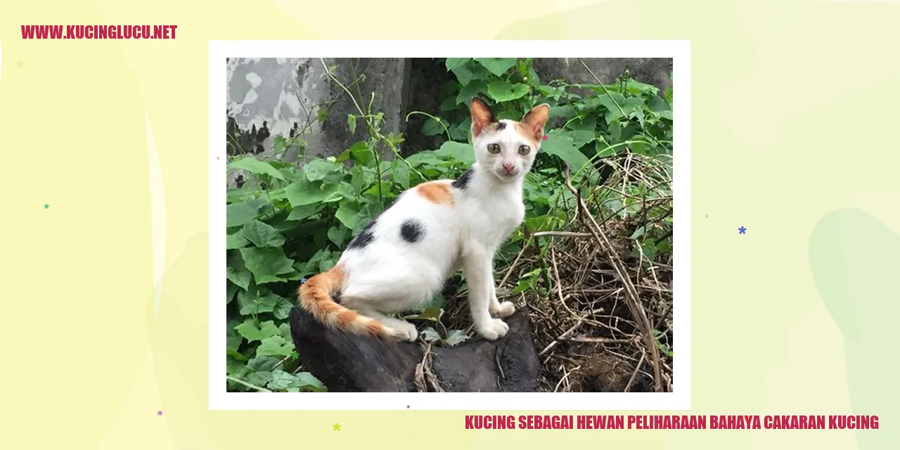 Gambar seekor kucing