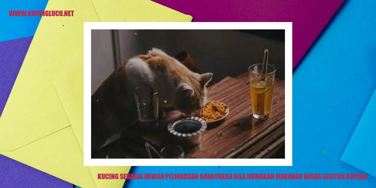 Kucing sebagai Hewan Peliharaan