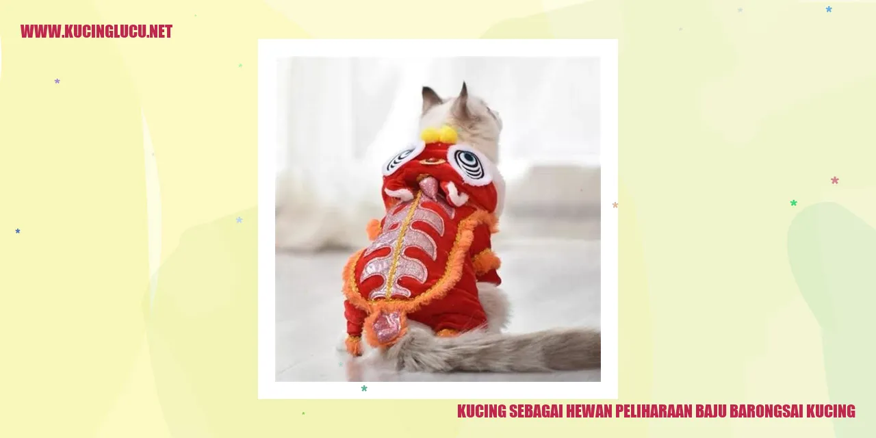 Gambar Kucing yang Sedang Bermain