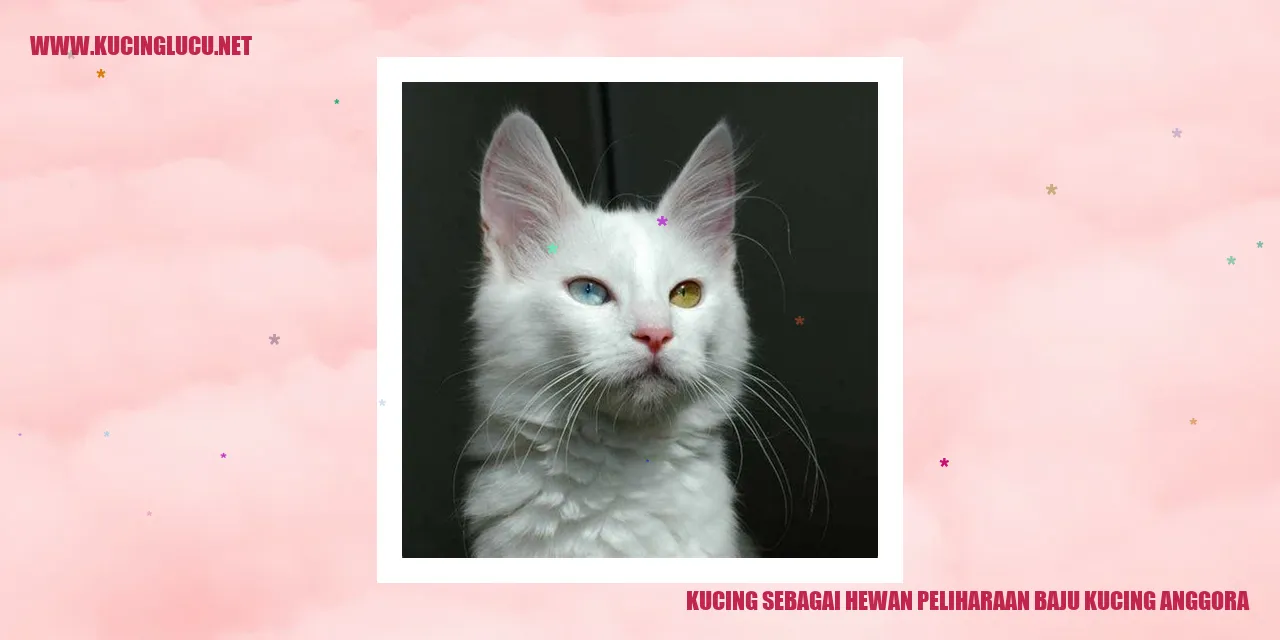 Kucing Anggora yang Menggemaskan