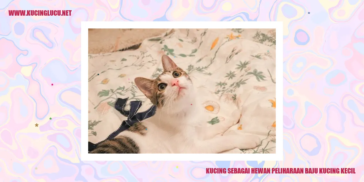 Kucing Peliharaan
