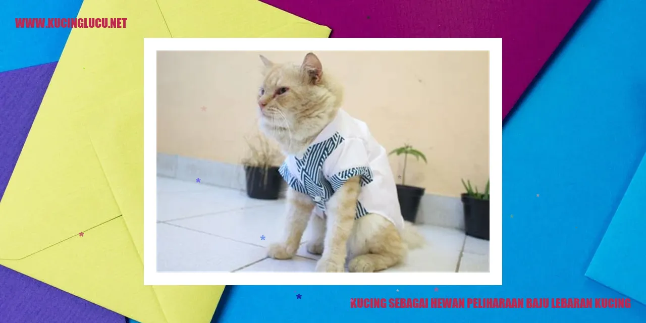 Kucing menggemaskan dengan pakaian lebaran