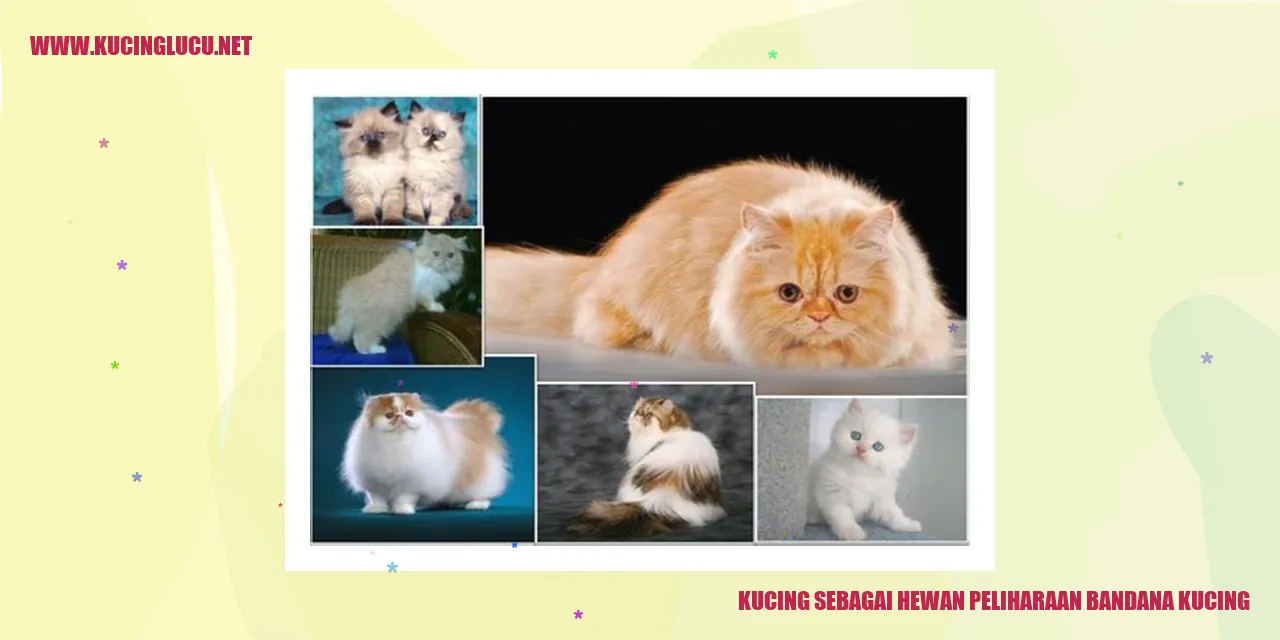 Kucing Lucu