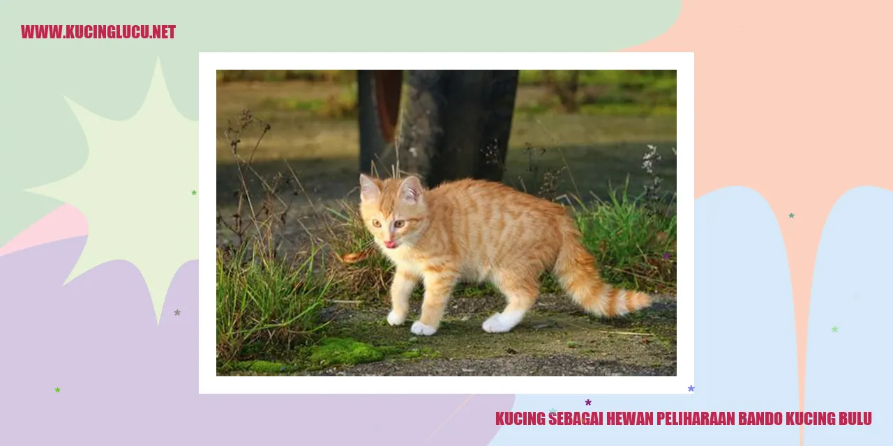 Kucing sebagai Hewan Peliharaan