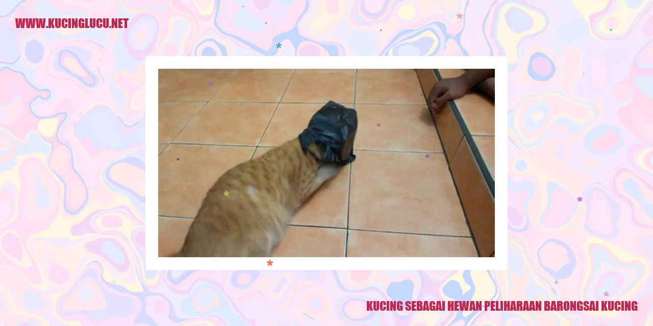 Kucing sebagai Hewan Peliharaan barongsai kucing