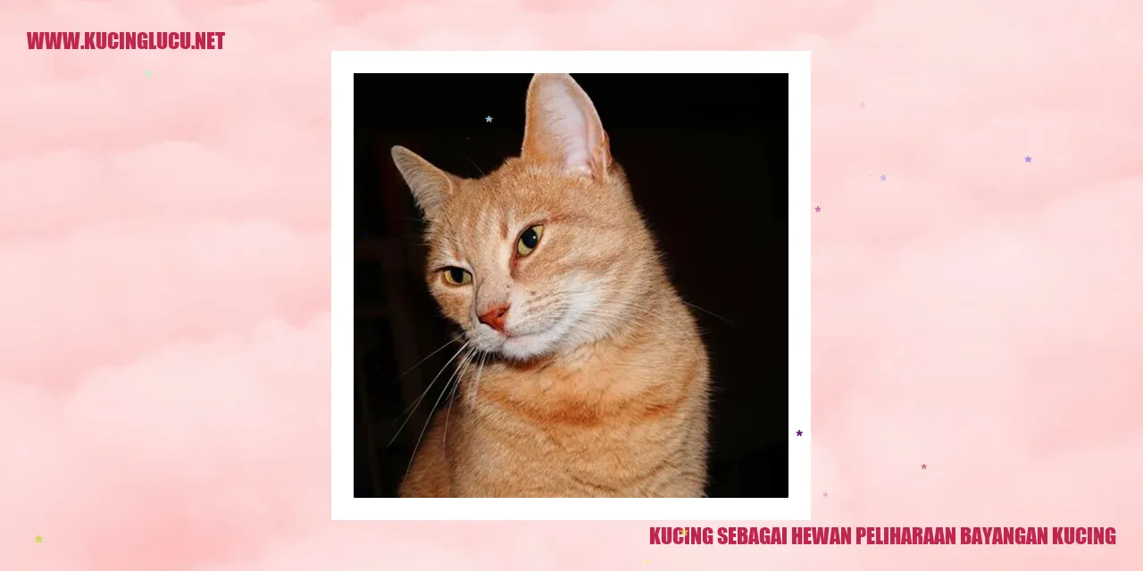 Kucing sebagai Hewan Peliharaan