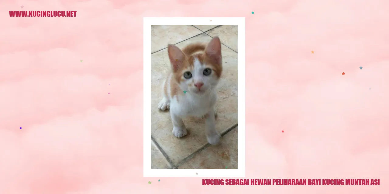 Bayi kucing muntah ASI