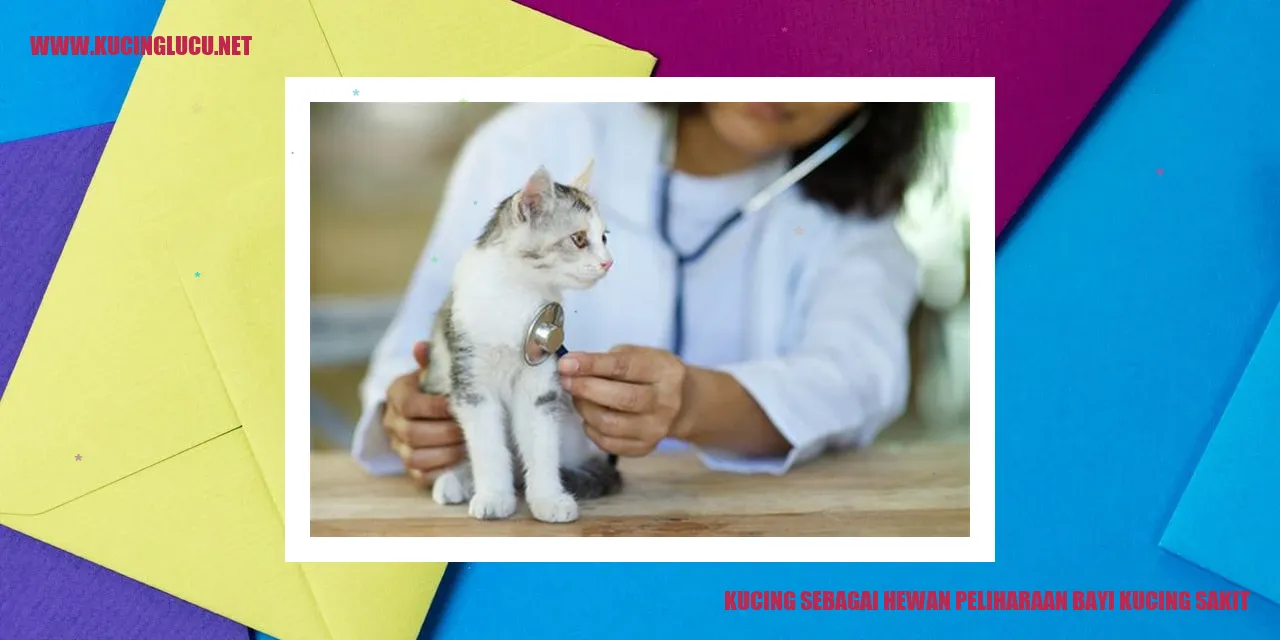 Kucing sebagai Hewan Peliharaan bayi kucing sakit