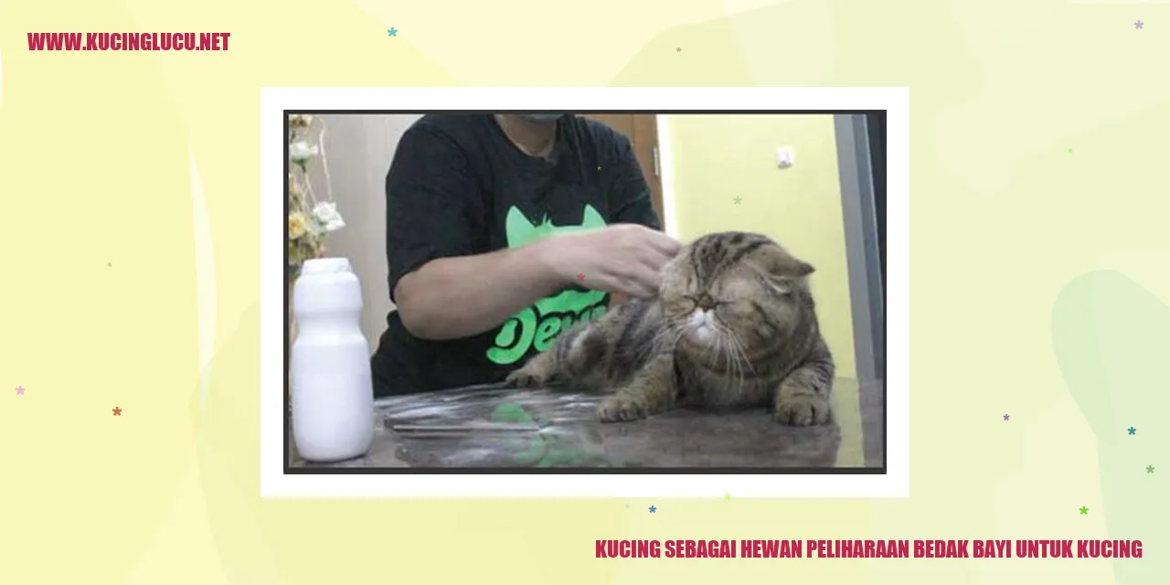 Gambar Menggemaskan Kucing