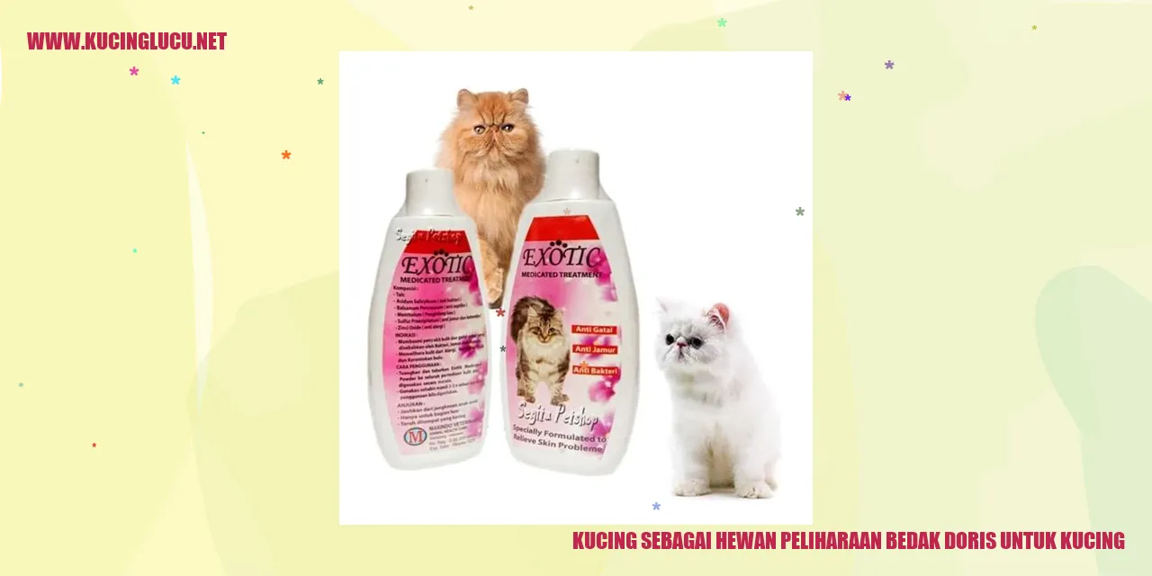 Kucing Peliharaan