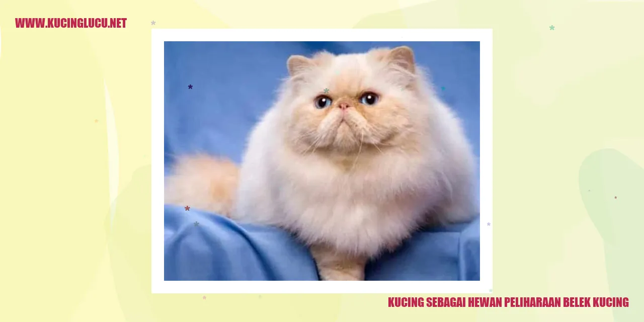 Kucing sebagai Hewan Peliharaan belek kucing