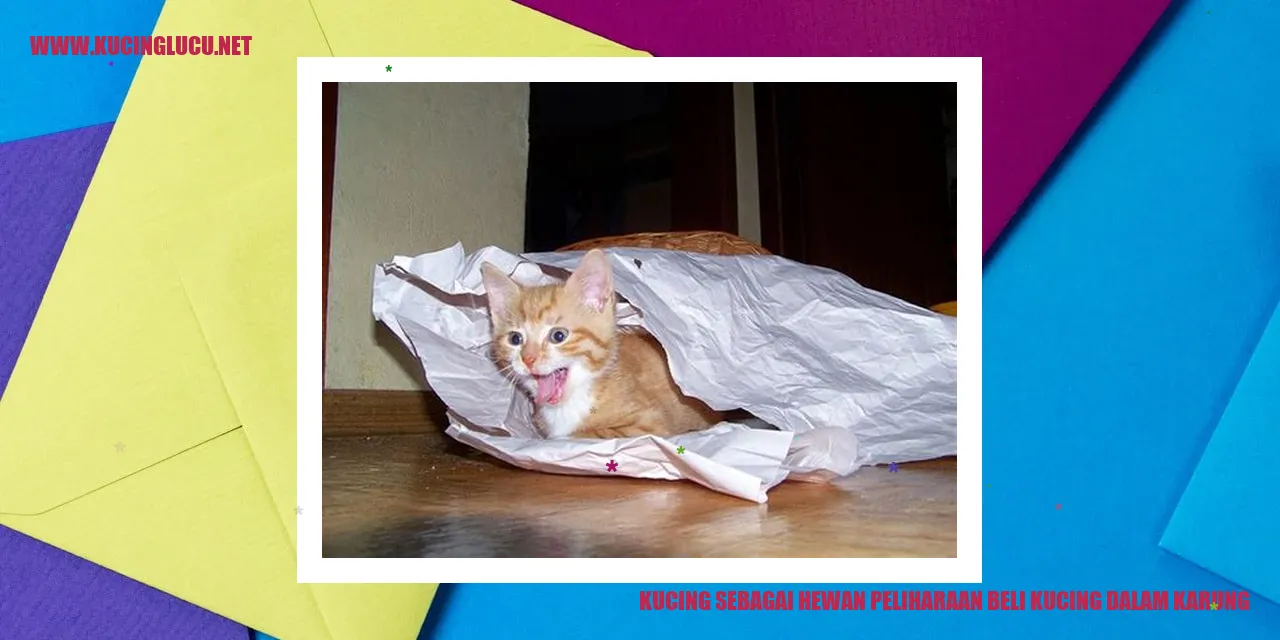 Kucing dalam karung