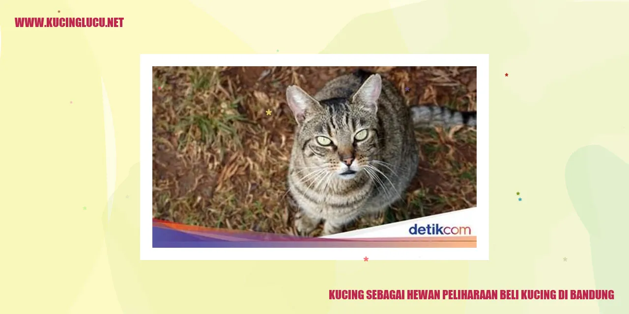 gambar kucing