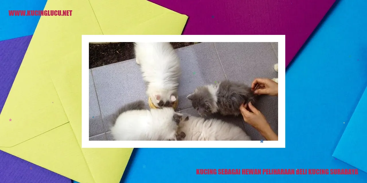 Kucing sebagai Binatang Peliharaan di Surabaya