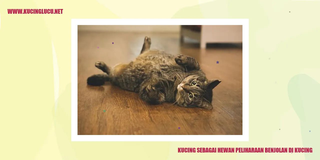 Kucing Menggemaskan