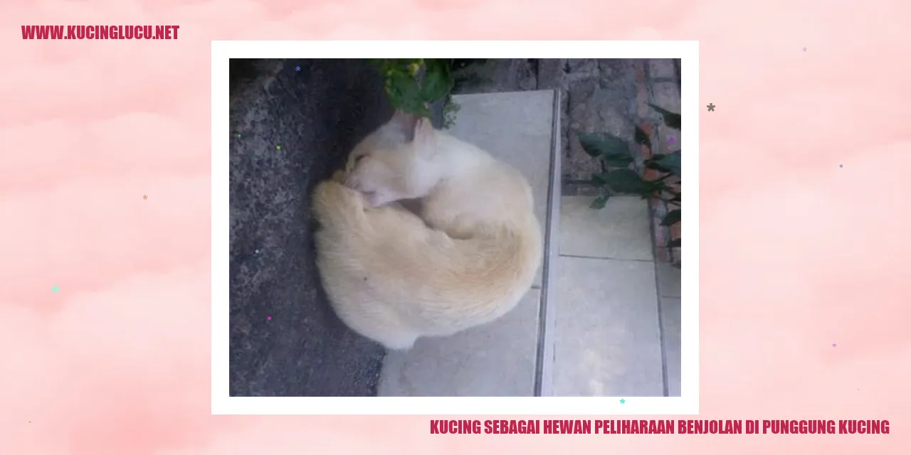Kucing dengan benjolan di punggung