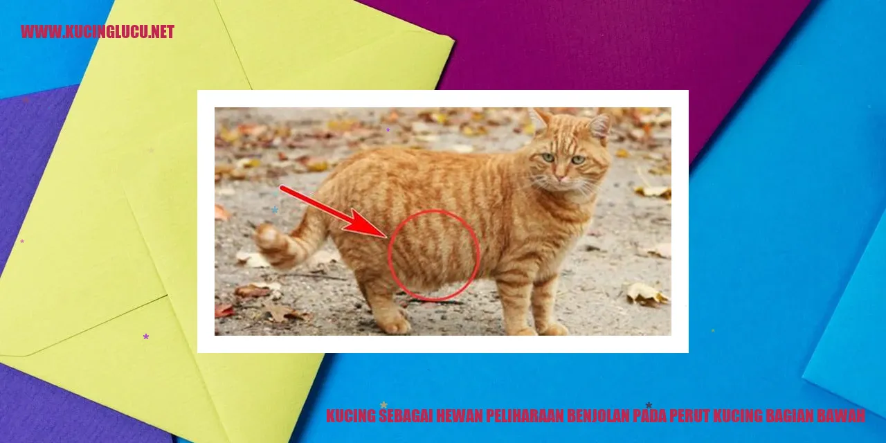 Foto kucing