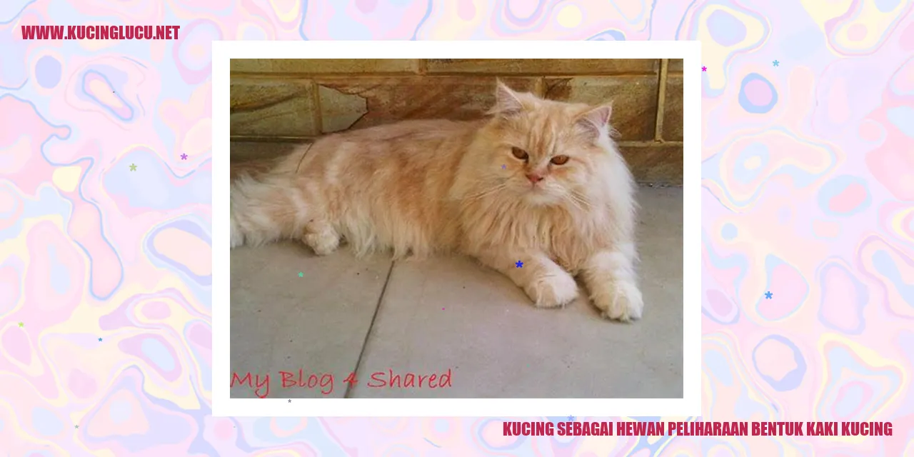 Bentuk Kaki Kucing
