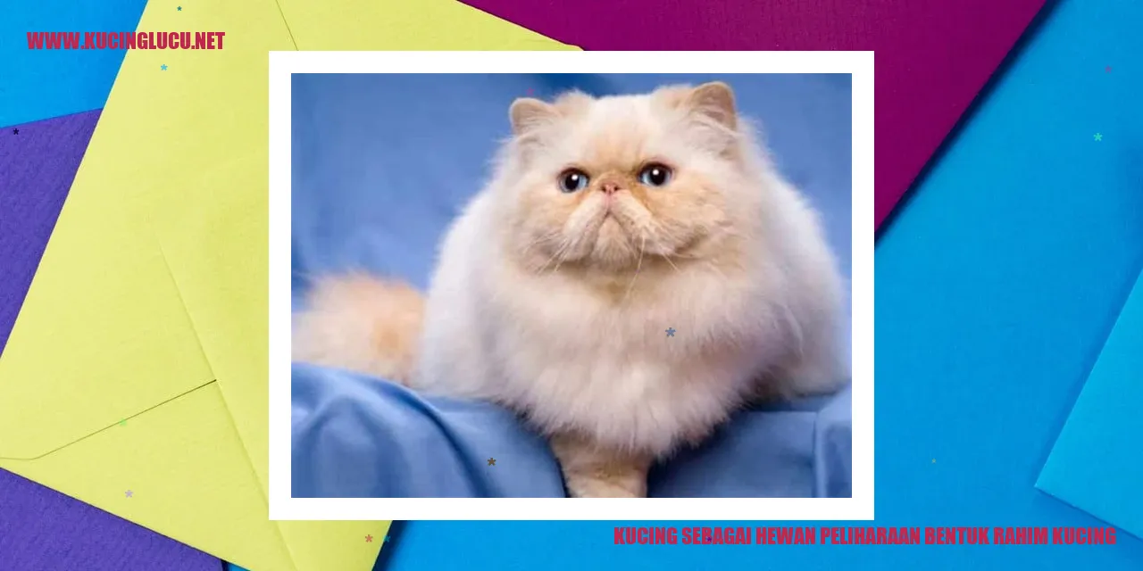 Kucing dengan bentuk rahim yang menggemaskan sebagai hewan peliharaan