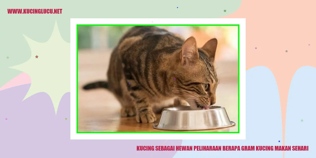 Kucing sebagai Hewan Peliharaan